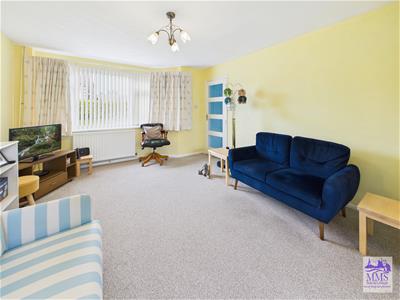 Picture 22